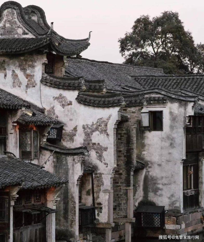 好喝营养的鲫鱼汤怎么做好吃 好喝营养的鲫鱼汤游戏画面